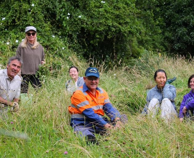 Helping improve an indigenous enclave are Whakahekerau Second Beach Ecology Action volunteers ...