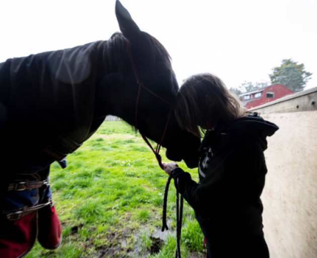 Eve Ainscow at her West Auckland property with her horses. Photo: NZ Herald
