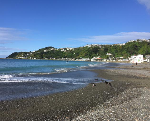 At the far end of Kilbirnie’s Onepu Rd is scenic Lyall Bay. 