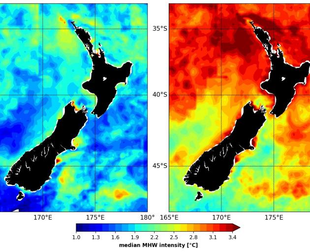 Marine heatwaves now (left) and predicted in 2100.