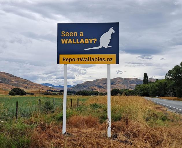 One of the new signs, encouraging the public to report wallaby sightings outside the South...