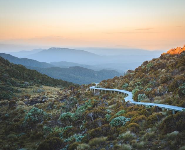 The Hump Ridge Track. Photo: Department of Conservation