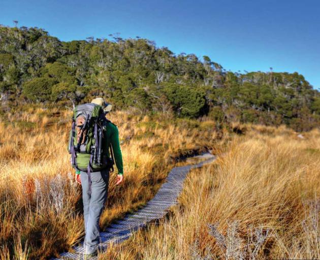 The Heaphy Track is located in the South Island's Kahurangi National Park. Photo: DOC