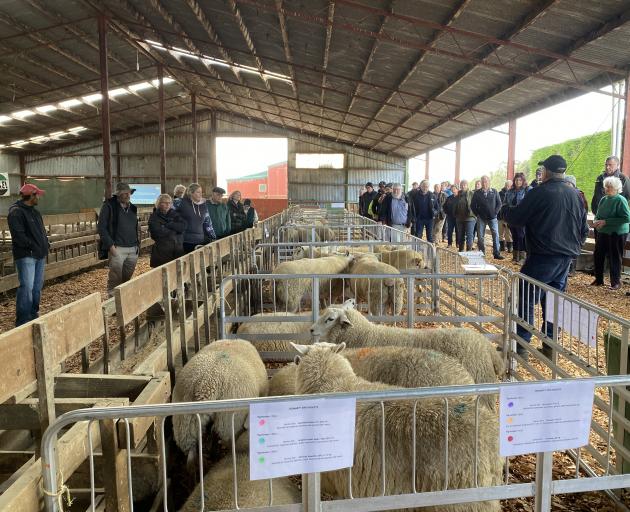 PHOTO: SHARON PATERSON