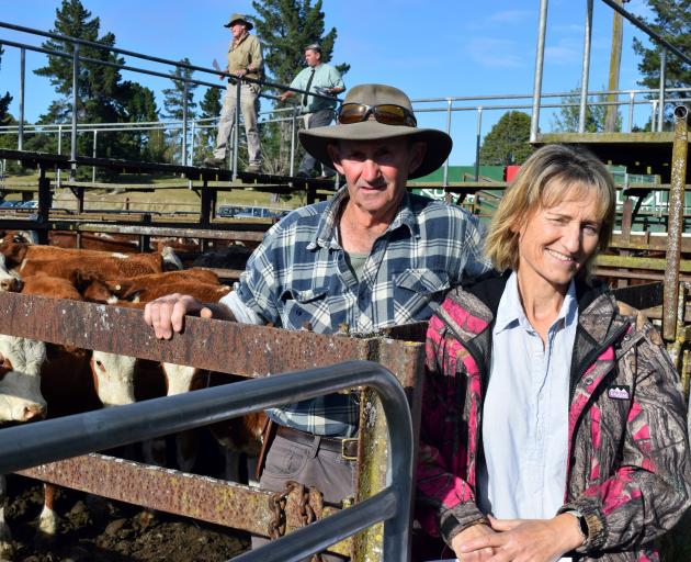 Simmental cattle breeders John and Ally Lozell debuted as vendors at the first calf sale of the...