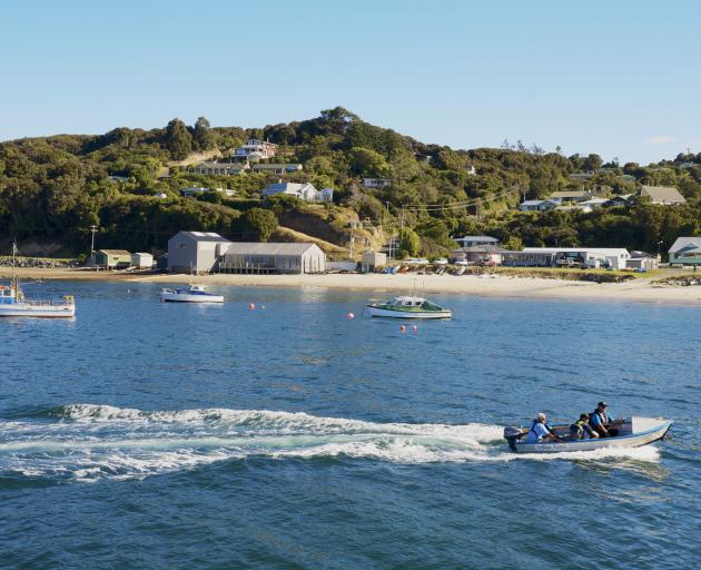 Oban, Stewart Island. Photo: Getty Images