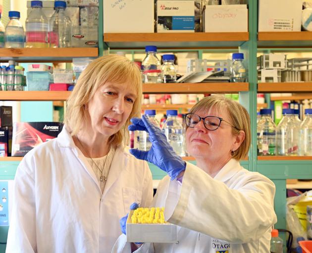 University of Otago researchers Joanna Williams (left) and Diane Guevremont say the early...