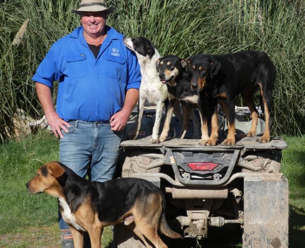  Steve Kerr is taking up four dogs to try to win an elusive national title at the New Zealand...