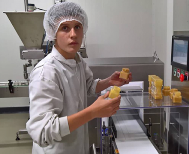 Levi Courage, working in the honey factory at Gloriavale. Courage has, along with Dan Pilgrim and...