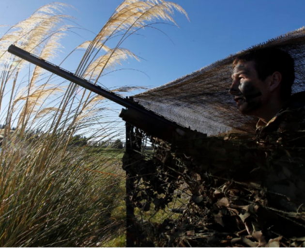 File photo: Fish & Game