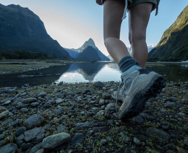 The Milford Track faced unprecedented demand this year. Photo: Getty Images 