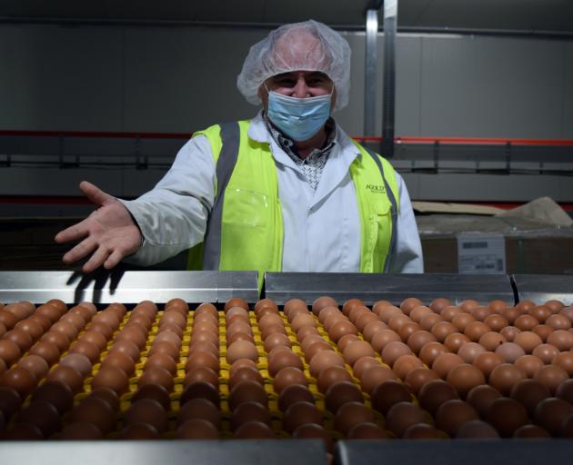 Zeagold Nutrition Waikouaiti site manager Neville Kennedy inspects eggs travelling on a conveyor.