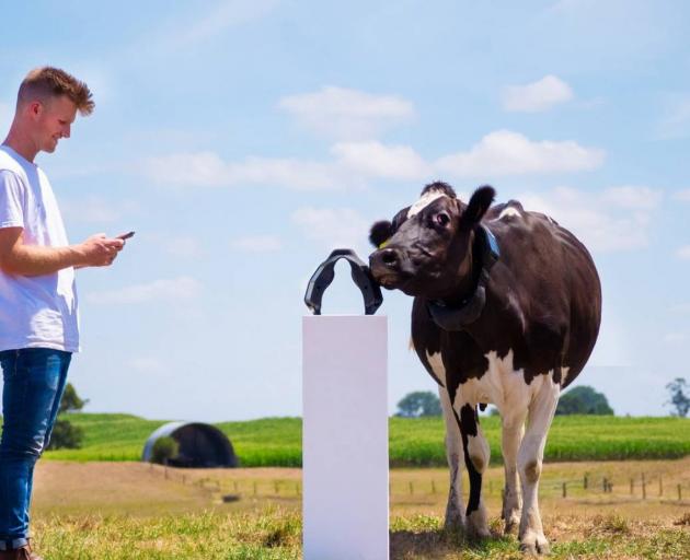 Halter founder and chief executive Craig Piggott with Halter’s GPS-enabled, solar-powered collar...