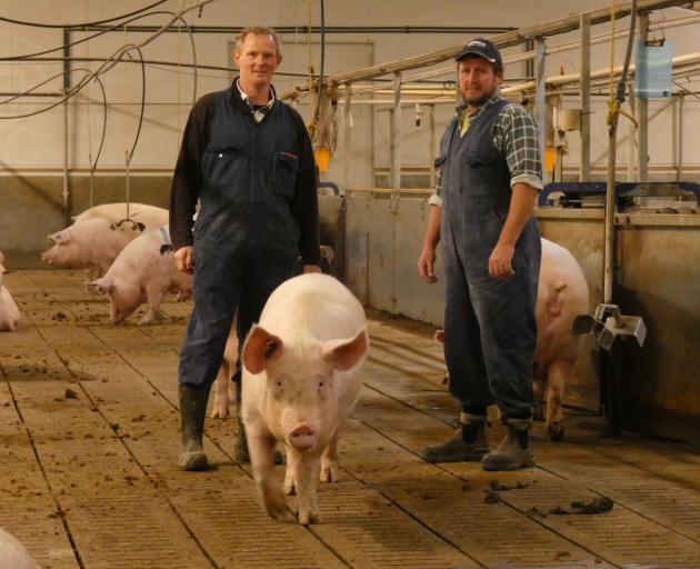Many changes marked ahead for the indoor farming of pigs has Sean Molloy (left) and his brother...