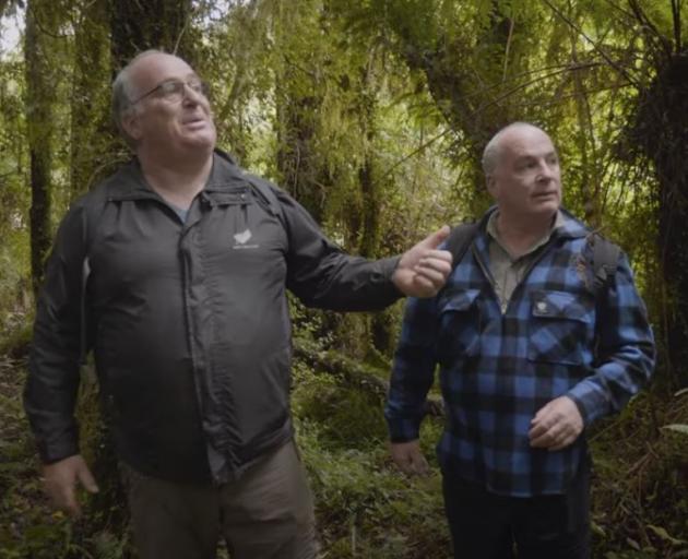 Twin brothers Phil and Kevin Barker are on a quest to find New Zealand's biggest native trees....
