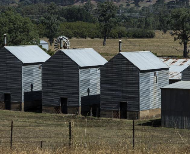 Corrugated iron tobacco kilns near the village of Myrtleford, Victoria. PHOTO: GETTY IMAGES