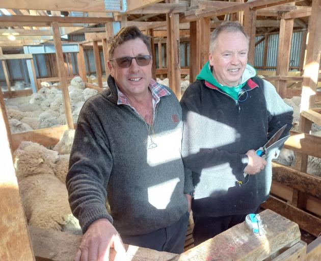 Maniototo farmer Phil Smith (left) and Dunedin blade shearing contractor Ronny Hill, from Dunedin...