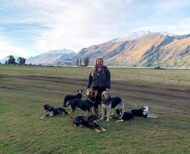 Balfour Young Farmers Club committee member Briar Swanson is surrounded by working dogs on Mt...