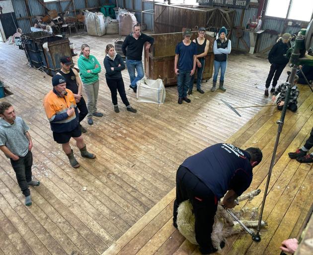 Shearing trainer Chas Tohiariki demonstrates to Growing Future Farmers Southland students and...