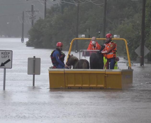 An emergency crew rescues two ponies from a flooded area in Milperra, near Sydney. Photo: NSW...