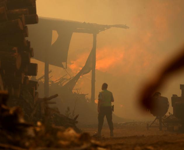 Firefighters have been battling a wildfire in the Leiria region of central Portugal. Photo: Reuters 