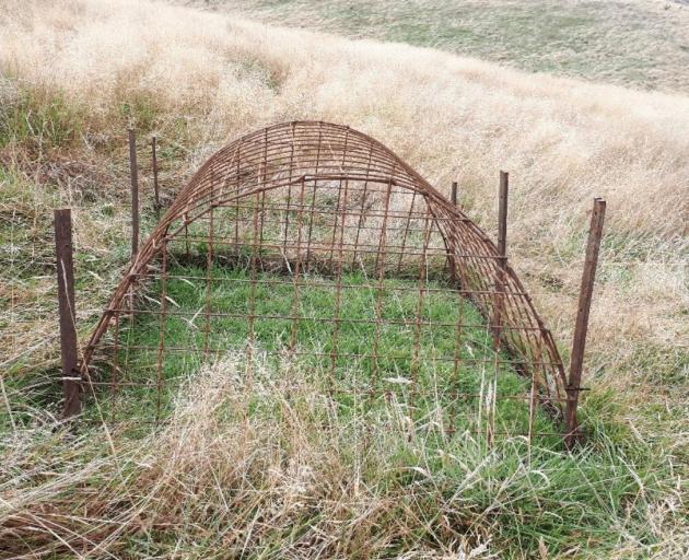 The Inverary Station team has used 35 pasture cages to collect pasture growth rates. PHOTO: JOHN...