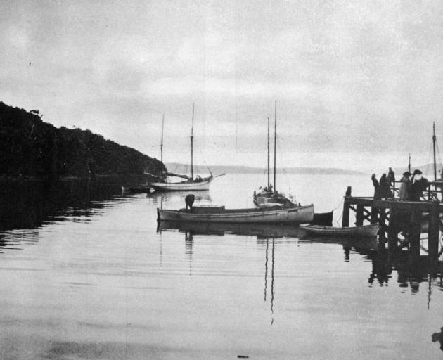 Golden Bay jetty in Patersons Inlet, Stewart Island. — Otago Witness, 4.7.1922