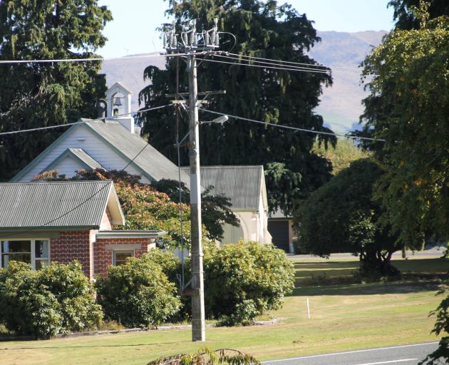 The Lawson Cypress trees which are planted at the Lumsden Presbyterian Church are set to be cut...