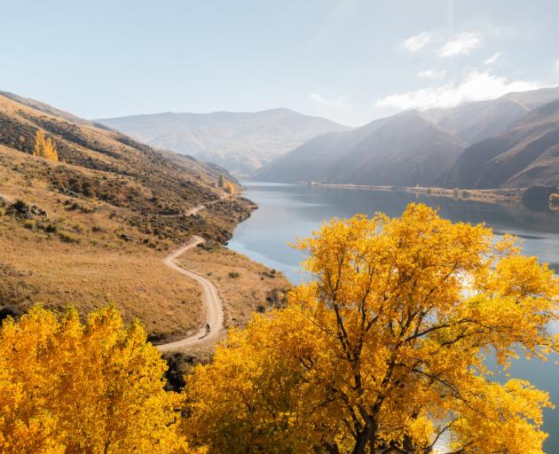It's been a successful first year for the Lake Dunstan Trail. PHOTO: WILL NELSON