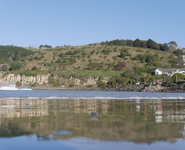 Forrester Heights in Oamaru. PHOTO: ODT FILES