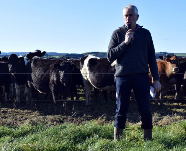 In-calf heifers watch as 2022 Southland Ballance Farm Environment Awards winner Kevin Hall talks...