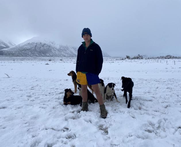 At Hakatere Station, Taylor Bird and his dogs are used to plenty of elevation work with sheep and...