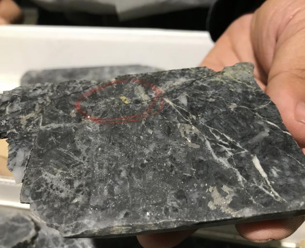 Another rock sample belonging to Santana Minerals. A flake of gold is circled with red pen.