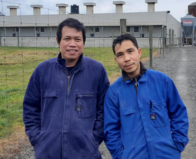 Neil Managh with his son Andrew at their 800-sow Ratanui mixed farming operation in Manawatu.