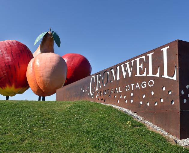 Cromwell’s landmark big fruit sculpture was last painted in 2016 at a cost of $37,000. PHOTO:...