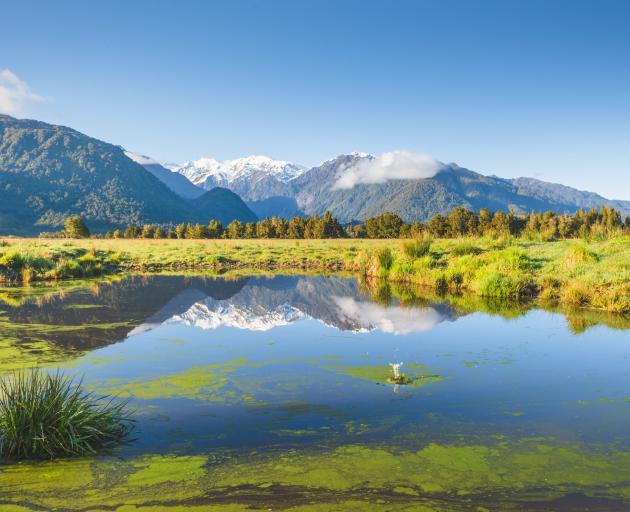Mt Cook in the Southern Alps looking over Lake Matheson on the West Coast. Photo: Getty Images 