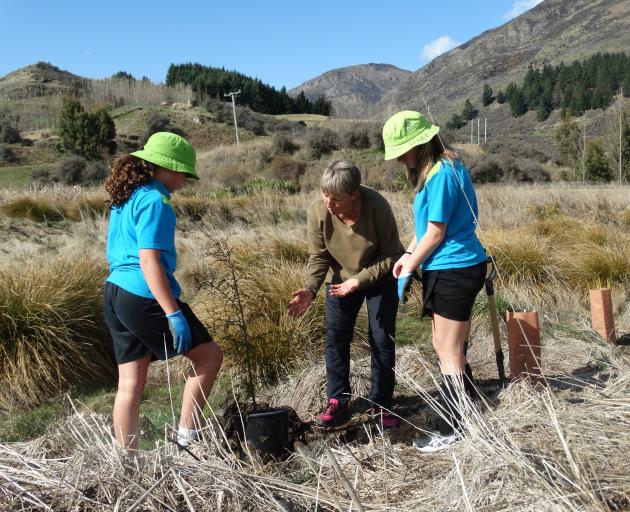 Planting a kahikatea (white pine) are (from left) Anahera Ashby (11), Whakatipu Reforestation...