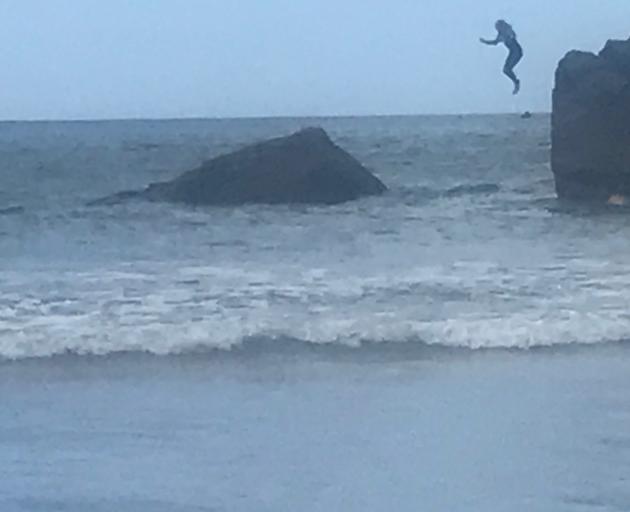 A youngster jumps from a rock offshore from the dotterel sanctuary.