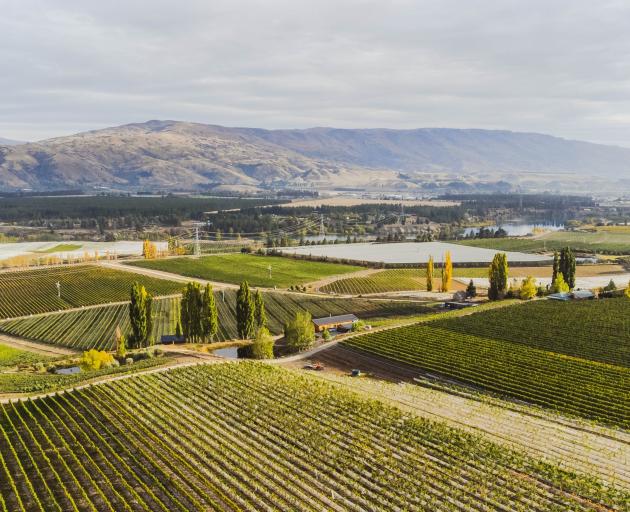 French wine producer Edmond de Rothschild Heritage Wines recognises the terroir of the...
