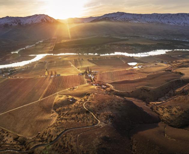 New owners Edmond de Rothschild Heritage Wines intend to convert Akarua Estate to a fully organic...