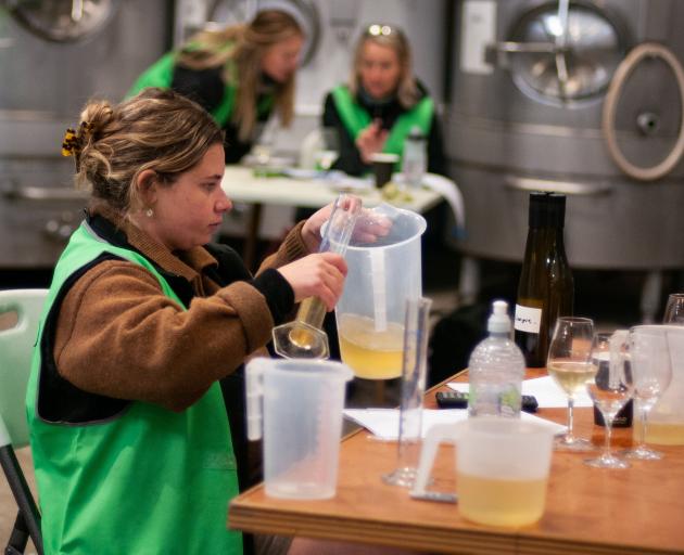 Greystone Wines assistant winemaker Georgia Mehlhopt, from Greystone Wines in North Canterbury,...