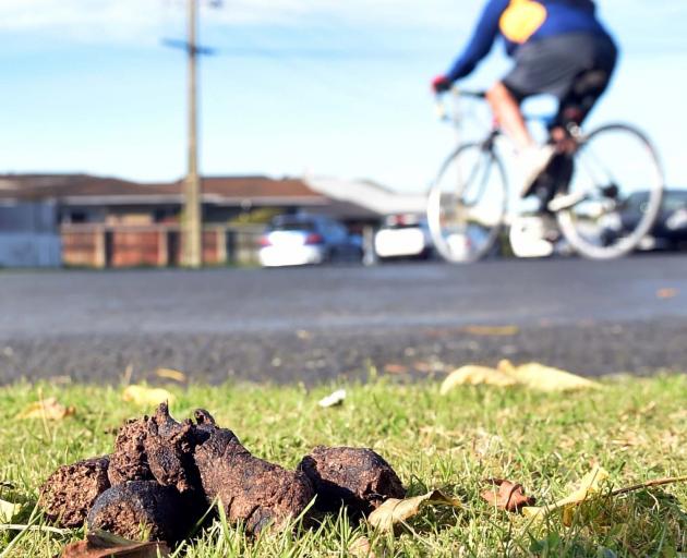 nstead of sending dog poo to the landfill, you might 
want to consider burying it. PHOTO: ODT FILES