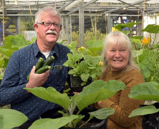 Associate Prof Paul Guy and technician Susan Mackenzie with vegetables destined for the foodbank...