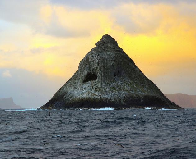 The Pyramid, home of the Chatham albatrosses. Photo: Neville Peat