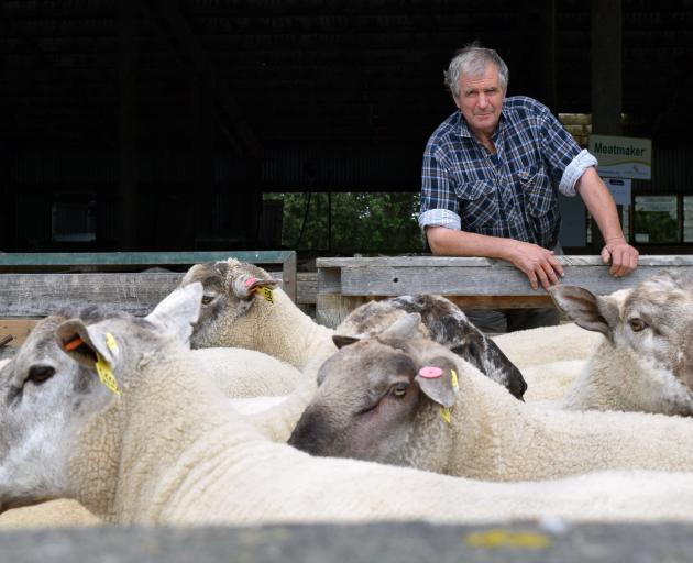 Wharetoa Genetics owner Garth Shaw is ready for his 22nd on-farm ram sale in South Otago 
...