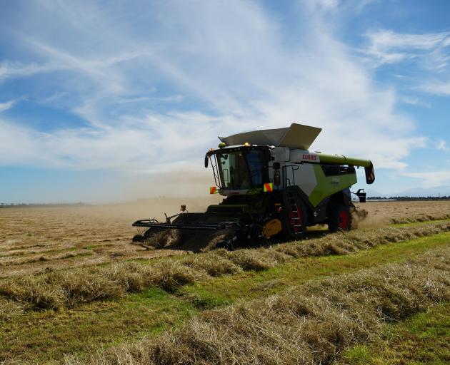 Herbicide resistance is a big problem for growers. PHOTO: FAR