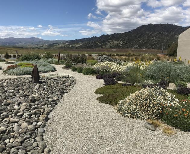 The edges of gravel paths are softened by drought-resistant groundcovers.