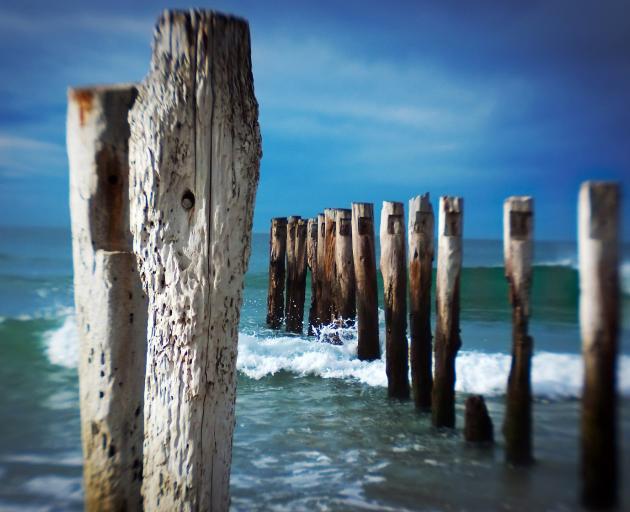 A close-up of the slow rot claiming the wood. Photo: Peters Photography