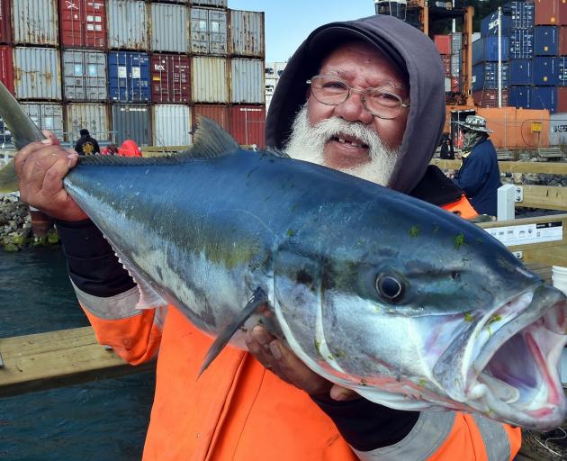 Peter Tuisano with a kingfish he caught at Boiler Point fishermen’s wharf. Warmer sea surface...