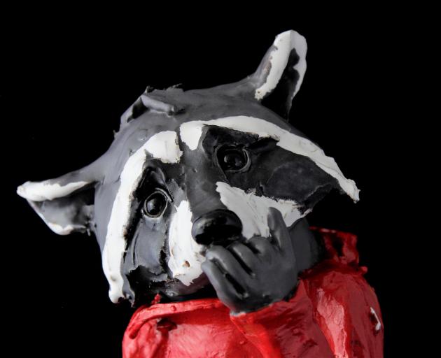 Raccoon. Photo: Kylie Matheson